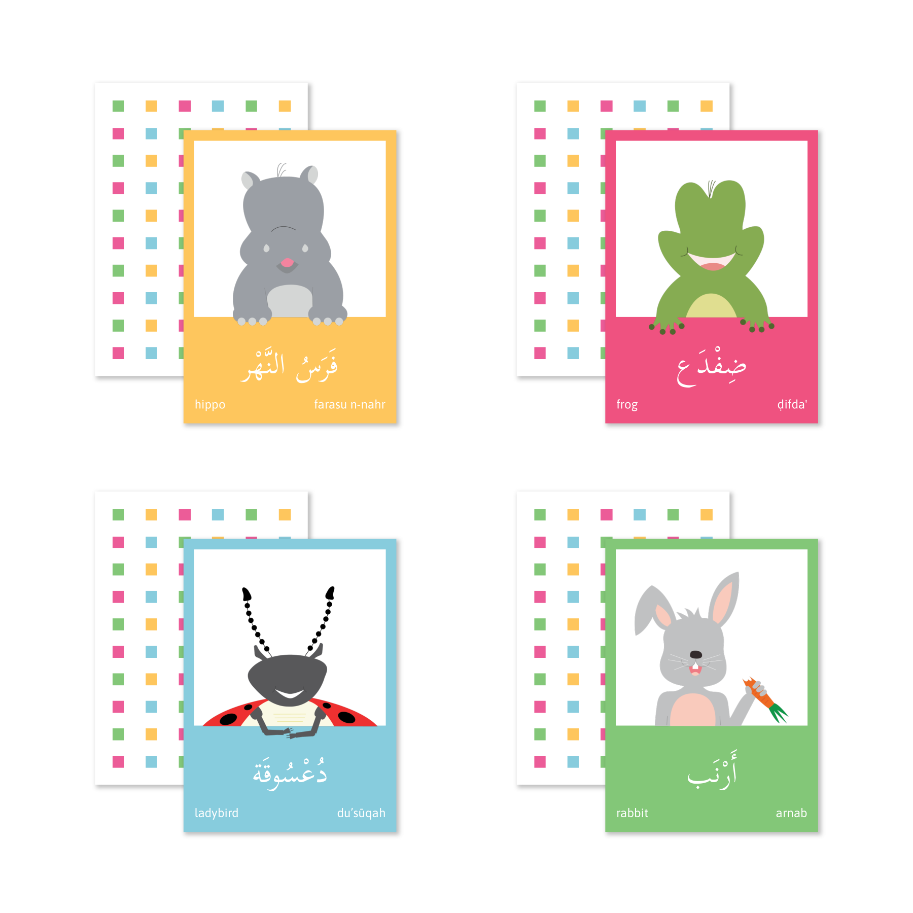 Durable Soft Plastic Flashcards Arabic/English Bilingual Flashcards for Children and Pre-Schoolers Arabic Flash Cards Animals 